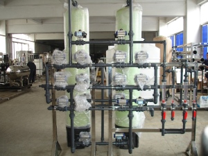 陰陽(yáng)離子交換器